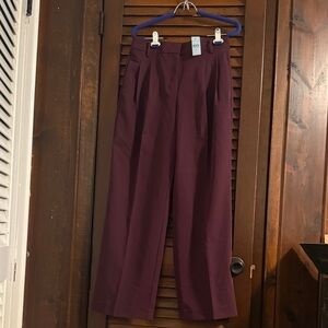 Ann Taylor Maroon Trousers